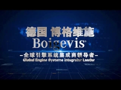 정밀 제조 엔진 밸브 커버 오토 엔진 부품 03C109210BP 사기타를 위한